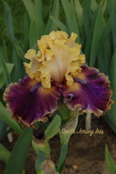 Final Offer- Keppel, 2021