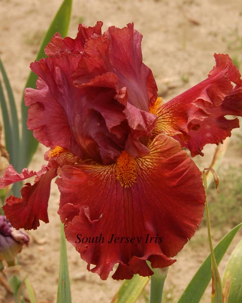 Ready For My Closeup