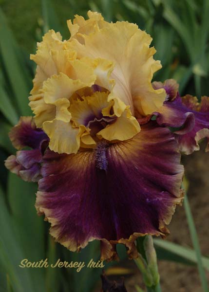 Final Offer- Keppel, 2021